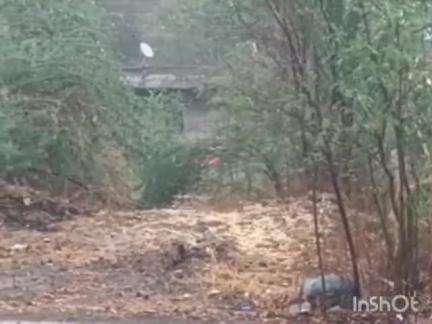 संगमनेर: संगमनेर मधील दिग्रस गावात अवकाळी पावसाने घेतला दोन दुभत्या गायांचा जीव