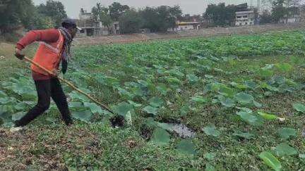 वारासिवनी: वारासिवनी में जल गंगा संवर्धन अभियान के तहत शंकर तालाब में नगर पालिका ने किया श्रमदान