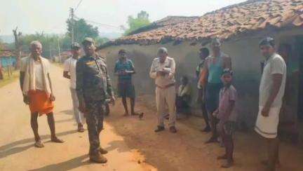 बतौली: बतौली क्षेत्र के जंगलों में सक्रिय हुआ 22 जंगली हाथियों का दल, ग्रामीण हाथियों की आमदगी के बाद दहशत में जीने को मजबूर
