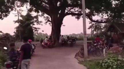 হরিহরপাড়া: নাজিরপুরে মোটর বাইকের ধাক্কায় প্রাণ গেল চতুর্থ শ্রেণির ছাত্রীর
মুর্শিদাবাদের হরিহরপাড়া থানার নাজিরপুর গ্রামে মোটর বাইক