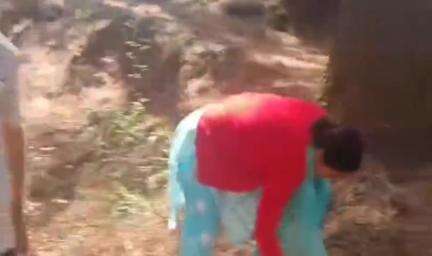 लोहाघाट कॉलेज परिसर में चला स्वच्छता अभियान गंदगी करने वालों पर रहेगी तीसरी आंख की नजर।