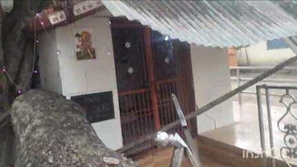 पाटन: पुरानी कचहरी के पीछे पीपल के पेड़ की डाली गिरने से बड़ा हादसा टला