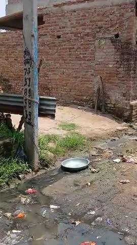 बिजली विभाग को अवगत करने के बाद भी कोई कार्रवाई नहीं हो रहीं चलते रास्ते पर हो सकता है हादसा गावडी  बुजुर्ग विदुर कुटी