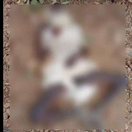 पलारी: छेरकाडीह लरिया खार में एक बुजुर्ग व्यक्ति की लाश मिली, रोहासी निवासी के रूप में हुई पहचान, 3 दिनों से था लापता