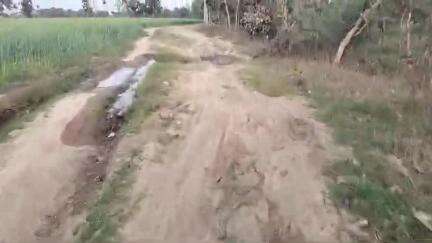 Tikamgarh jile ke palera block ke hanota panchyat ke tapariyan gaon me nahi hai sadak