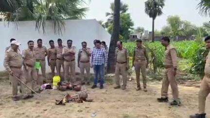 इटावा: सरैया ताड़ गांव में आबकारी और थाना पुलिस ने प्रतिबंधित 15 ताड़ी के पेड़ों को कटवाया, 28 मटकी ताड़ी कराई नष्ट, मचा हड़कंप