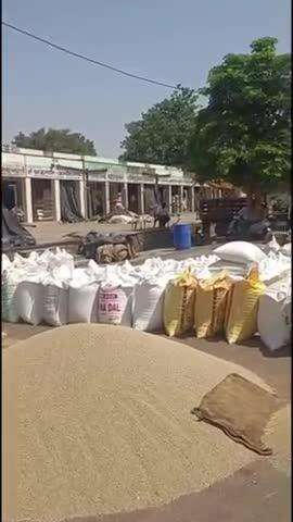 बसवा: बांदीकुई में चना-सरसों बेचने वाले 33 किसानों के 57 लाख रुपए अटके, राजफेड ने 7 दिन में भुगतान का वादा किया