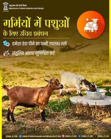 गर्मियों में पशुओं का उचित प्रबंधन ठंडा पानी और संतुलित चारा – स्वस्थ पशुओं की कुंजी!
 उनकी सेहत और उत्पादन के लिए सही देखभाल जरूरी है।
#LivestockCare #HeatStressPrevention #HealthyAnimals #SummerCare