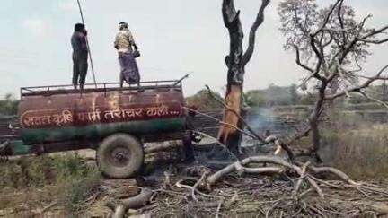 निवाड़ी: निवाड़ी जिले के तरीचर कला में शॉर्ट सर्किट से खेतों में लगी आग, निजी टैंकरों से बुझाई गई