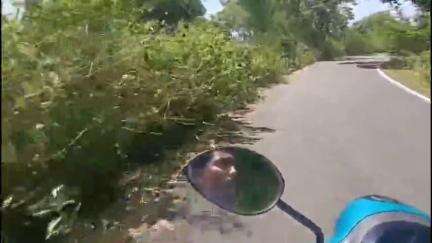 ஒட்டன்சத்திரம்: பாச்சலூர் செல்லும் சாலையில் அதிக அளவில் செடிகள் வளர்ந்து சாலையை மறைப்பதால் வாகன ஓட்டிகள் விபத்தில் சிக்கும் அபாயம் #localissue