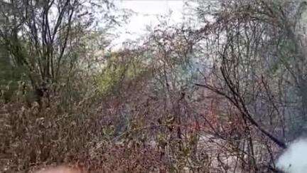 इंदरगढ़: ग्राम अकोला के वन रेंज में लगी भीषण आग पर ग्रामीणों और फायर ब्रिगेड ने 2 घंटे की मशक्कत के बाद पाया काबू, कोई जनहानि नहीं हुई