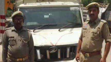 चंदौली: बिछिया समीप नेशनल हाईवे से लगे नाले में पलटी गौ तस्करी की वाहन, 6 राशि गोवंश बरामद, गौ तस्कर फरार