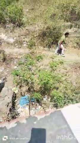 हल्द्वानी: काठगोदाम में पुलिया के नीचे गिरी ऑल्टो कार, 2 लोग हुए घायल