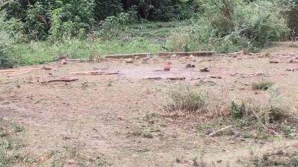 बीना: ग्राम सव्दा एवं पाली में श्मशान घाट का न रास्ता न टीन शेड, ग्रामीण बरसों से परेशान 
#jansamasya