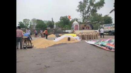 आज रायपुर क्षेत्र में तेज बारिश। मंडी में हुआ नुकसान।