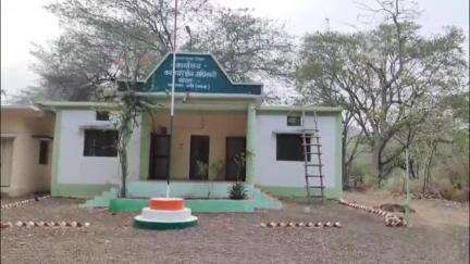 महु चोरल रेंज के जंगलों में अवैध पेड़ों की कटाई जारी, वन अधिकारी मौन