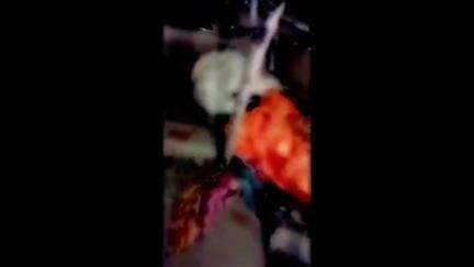 माहूर: माहूर तालुक्यातील शास्त्रज्ञाच्या कारचा बुलढाणा जिल्ह्यात अपघात; आई-वडिलांसह शास्त्रज्ञाचा मृत्यू, व्हिडिओ व्हायरल