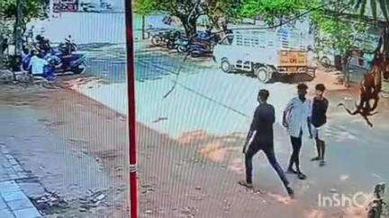 மதுரை தெற்கு: தீக்கதிர் பேருந்து நிறுத்தத்தில் இளைஞரை தாக்கும் போதை ஆசாமிகள் சிசிடிவி கட்சி வெளியாகி வைரல் #viral