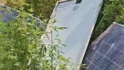 हिसार: उकलाना में आंधी से 28 सोलर पैनल उड़े, किसान को लाखों का नुकसान, सिंचाई का काम रुका, मुआवजे की मांग