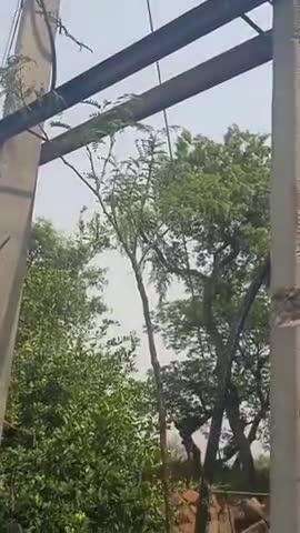 बागपत: बसा टीकरी गांव के ग्राम प्रधान के नलकूप के निकट रखे 25 केवी के ट्रांसफार्मर से चोरों ने विद्युत उपकरणों की की चोरी