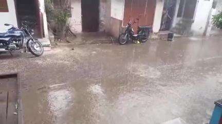 सेंधवा: तेज हवा और बारिश से वरला तहसील में मूंग की फसल को नुकसान, बुदाबांदी भी हुई