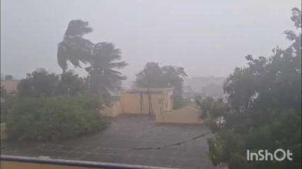மேட்டுப்பாளையம்: மேட்டுப்பாளையம் பகுதிகளில் சூறாவளி காற்றுடன்பெய்த கனமழையால் பல்வேறு இடங்களில் மரங்கள் முறிந்து சாலையில் விழுந்தன