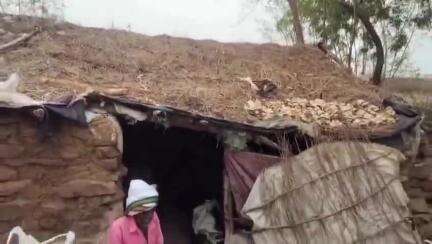 पथरिया: पथरिया के वार्ड 15 में बुजुर्ग दंपति नारकीय जीवन जीने को मजबूर, योजनाओं का लाभ नहीं मिल रहा