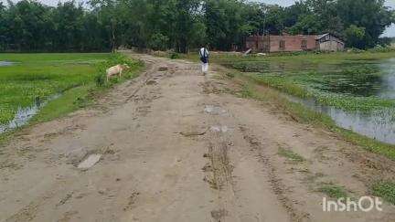 ধেমাজি: নকলিতা গাঁৱত পথৰ দুৰৱস্থাই জ্বলা-কলা খোৱাইছে প্ৰায় ৪ শতাধিক ৰাইজক, পথটো নিৰ্মাণৰ দাবী #jansamasya