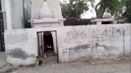 हसनपुर: आदमपुर के इस शिव मंदिर पर प्रसाद चढ़ाने से होती है मनोकामना पूरी, पुजारी बोले- लगता है मेला