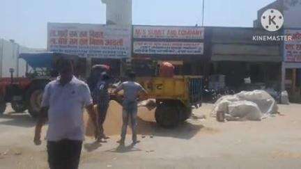 सोनीपत: सोनीपत अनाज मंडी में गेहूँ की खरीद प्रक्रिया अंतिम चरण में, 15 मई को हो सकती है सरकारी खरीद