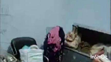 फतेहाबाद: फतेहाबाद के तेहरिया मोहल्ले में घर से लाखों रुपए की चोरी