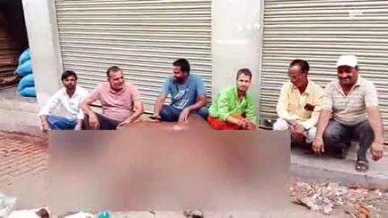 करेरा: दिनारा रेस्ट हाउस के पास अज्ञात वाहन ने बैल को टक्कर मारी, दोनों पिछले पैर टूटे