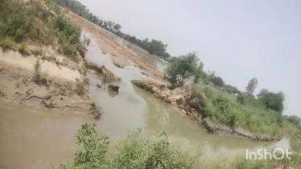 इगलास: इगलास गौण्डा सरताज नगला में बंबा की पटरी कटने से 100 बीघा फसल जलमग्न
