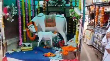बालोद: गौ ग्राम जनजागरण यात्रा का भव्य शुभारंभ शिव हनुमान मंदिर प्रांगण से हुआ