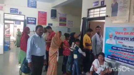 घोड़ाडोंगरी: घोड़ाडोंगरी के सामुदायिक स्वास्थ्य केंद्र में सिकलसेल रोजी टीकाकरण शिविर का आयोजन
