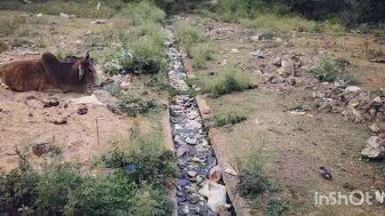 बुदनी: नगर की जाम नालियों की सफाई के लिए पार्षद ने सीएमओ को पत्र लिखा
