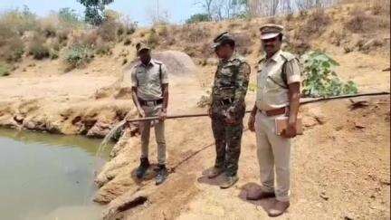 నిజామాబాద్ రూరల్: ఇందల్వాయి ఫారెస్ట్ పరిధిలో సోలార్ పంప్ చెట్లను పరిశీలించిన రేంజ్ ఆఫీసర్ రవి మోహన్ బట్