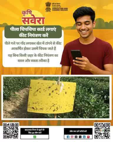 हर सुबह खेती की सही बात! 
जुड़े रहिए #KrishiSavera के साथ और शेयर करें अपनी टिप्स। 

#Agrigoi #Farmingtips