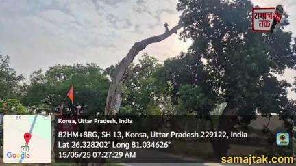 "गुरुबक्शगंज हाईवे पर खड़ा है खतरनाक पेड़ – हादसे को दावत!"