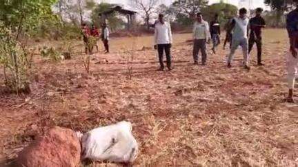 निवाड़ी: करगुवा के श्मशान घाट के पास एक संदिग्ध बोरी पर मक्खियां लगी होने से मचा हड़कंप