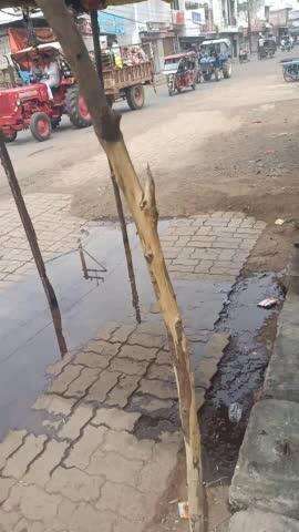 गुना के केंट कैंची बीड़ी कारखाने के सामने की गटर की सफाई बेबस्ता #स्वच्छ भारत स्वच्छ गुना #नगर पालिका गुना