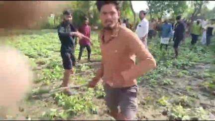 भरथना: टङवा काछियान में महिला समेत तीन लोगों को डंडों से पीटा, पुलिस ने अभियोग दर्ज कर जांच शुरू की