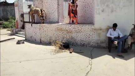भीलवाड़ा: मंदिर में सोए पुजारी पर जानलेवा हमला, घायल पुजारी ने एमजी हॉस्पिटल में उपचार के दौरान तोड़ा दम