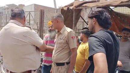 पानीपत: पानीपत में कुर्बानी के लिए लाए गए 15 बकरे दिल्ली नंबर की गाड़ी से चोरी, पुलिस मौके पर पहुंची