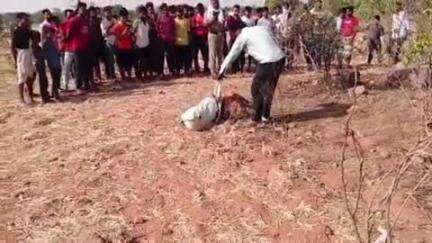 निवाड़ी: कारगुवा श्मशान घाट पर संदिग्ध बोरी में मिला मरा हुआ कुत्ते का बच्चा, पृथ्वीपुर थाना प्रभारी गौरव ने दी जानकारी