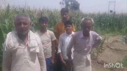 मैनपुरी: नोगांव में विद्युत सप्लाई ठीक से न मिलने का किसानों ने लगाया आरोप, फसल के नुकसान की कही बात #jansamasya