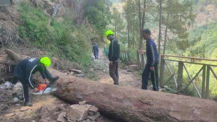 चमोली: अनुसूया मंदिर के पैदल मार्ग पर गिरे विशालकाय पेड़ को फायर सर्विस गोपेश्वर की टीम ने त्वरित कार्रवाई कर हटाया