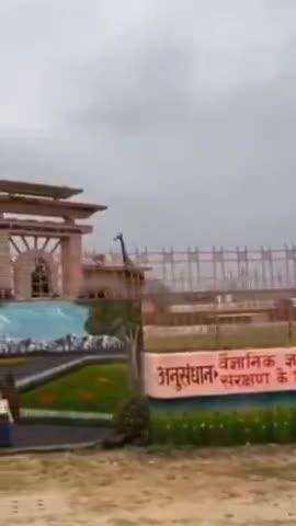 कानपुर: गोरखपुर से लाए गए बब्बर शेर की पटौदी में मौत, कानपुर चिड़ियाघर में इन्फ्लूएंजा वायरस का मंडरा रहा खतरा