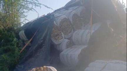 चितलवाना: रणोदर की सरहद में NH-68 पर ट्रक और बोलेरो कैंपर की टक्कर में 7 लोग हुए गंभीर रूप से घायल