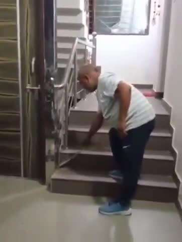 पंचकूला: सेक्टर 27 के मकान नंबर 465 से रसल वाइपर सांप मिला, नगर निगम ने किया रेस्क्यू और जंगल में छोड़ा